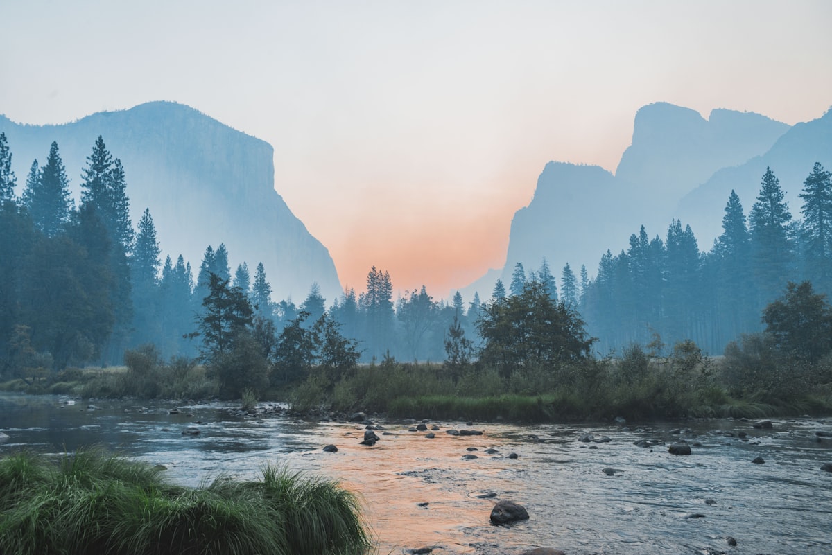 Nature landscape representing wellness and mindful movement